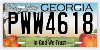 GA license plate PWW4618