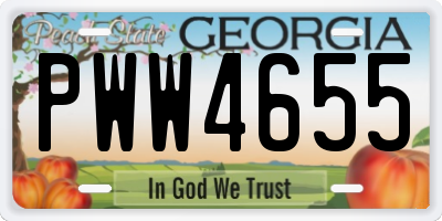 GA license plate PWW4655