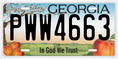 GA license plate PWW4663