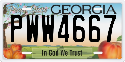GA license plate PWW4667