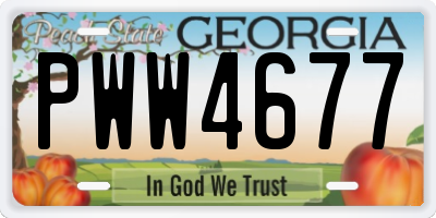 GA license plate PWW4677