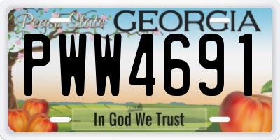 GA license plate PWW4691