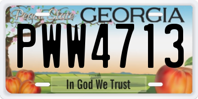 GA license plate PWW4713
