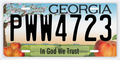 GA license plate PWW4723