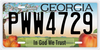GA license plate PWW4729