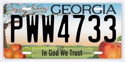 GA license plate PWW4733