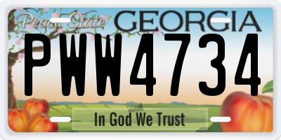 GA license plate PWW4734