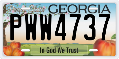 GA license plate PWW4737