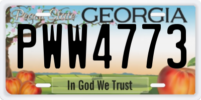 GA license plate PWW4773
