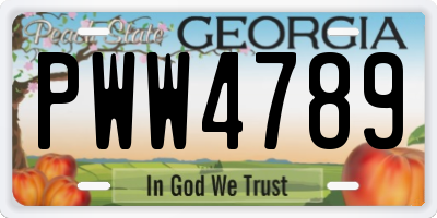 GA license plate PWW4789