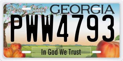 GA license plate PWW4793