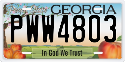 GA license plate PWW4803