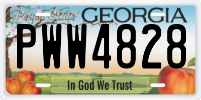 GA license plate PWW4828