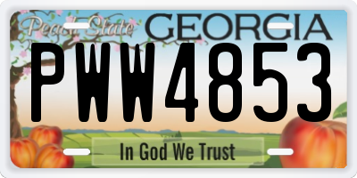 GA license plate PWW4853