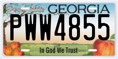 GA license plate PWW4855