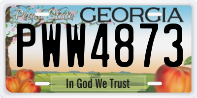 GA license plate PWW4873