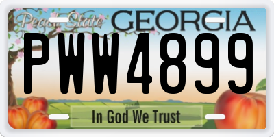GA license plate PWW4899