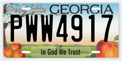 GA license plate PWW4917