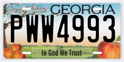 GA license plate PWW4993