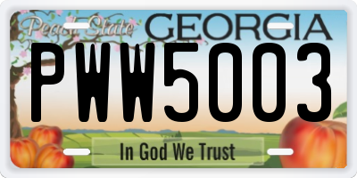 GA license plate PWW5003