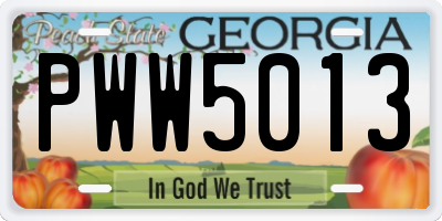 GA license plate PWW5013