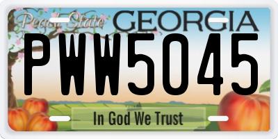 GA license plate PWW5045