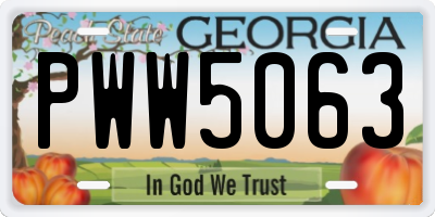 GA license plate PWW5063