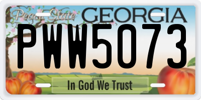 GA license plate PWW5073