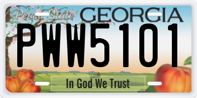 GA license plate PWW5101