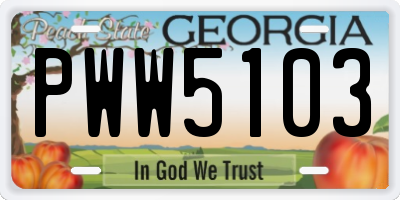 GA license plate PWW5103