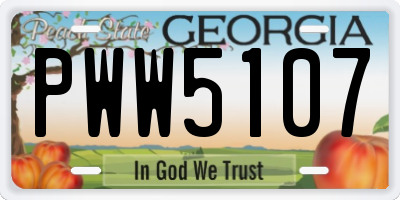 GA license plate PWW5107