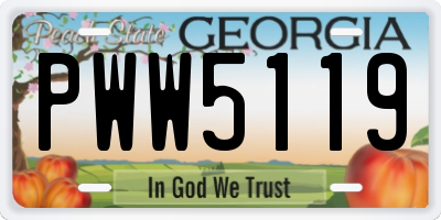 GA license plate PWW5119