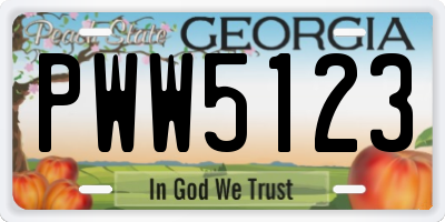 GA license plate PWW5123