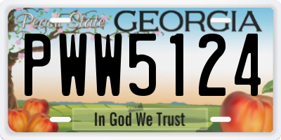 GA license plate PWW5124