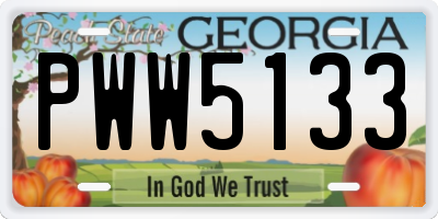 GA license plate PWW5133