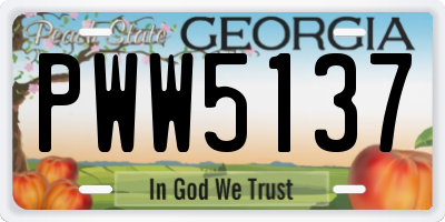 GA license plate PWW5137