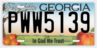 GA license plate PWW5139