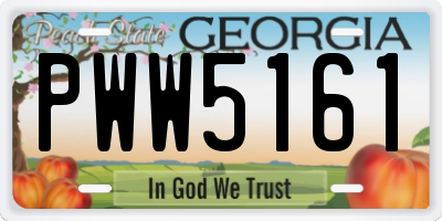 GA license plate PWW5161