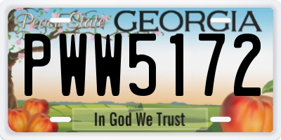 GA license plate PWW5172