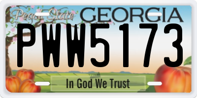 GA license plate PWW5173
