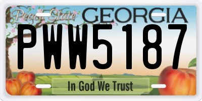 GA license plate PWW5187