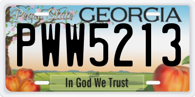 GA license plate PWW5213