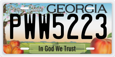 GA license plate PWW5223