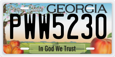GA license plate PWW5230