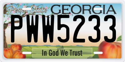 GA license plate PWW5233