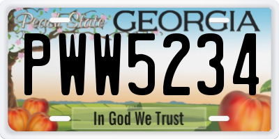 GA license plate PWW5234
