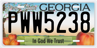 GA license plate PWW5238
