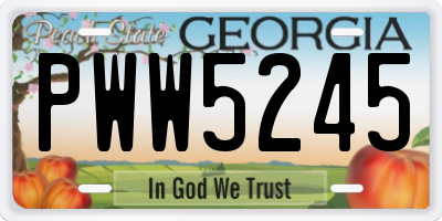 GA license plate PWW5245