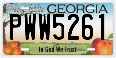 GA license plate PWW5261