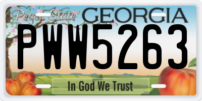 GA license plate PWW5263